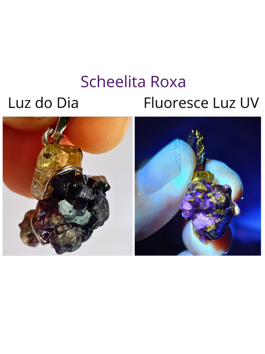 Heliodoro (Berilo Amarelo) EXTRA e Scheelita Roxa Fluorescente - Pingente Artesanal & Colar Ródio Branco